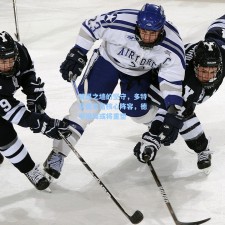 黄黑之墙的坚守，多特蒙德若留核心阵容，德甲格局或将重塑