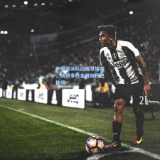 中国游泳队闪耀世锦赛，斩获多枚金牌创历史佳绩