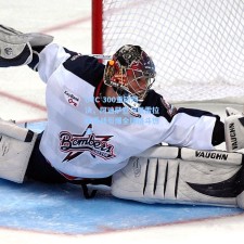 UFC 300重磅对决，阿迪萨亚与佩雷拉四番战引爆全球格斗热潮