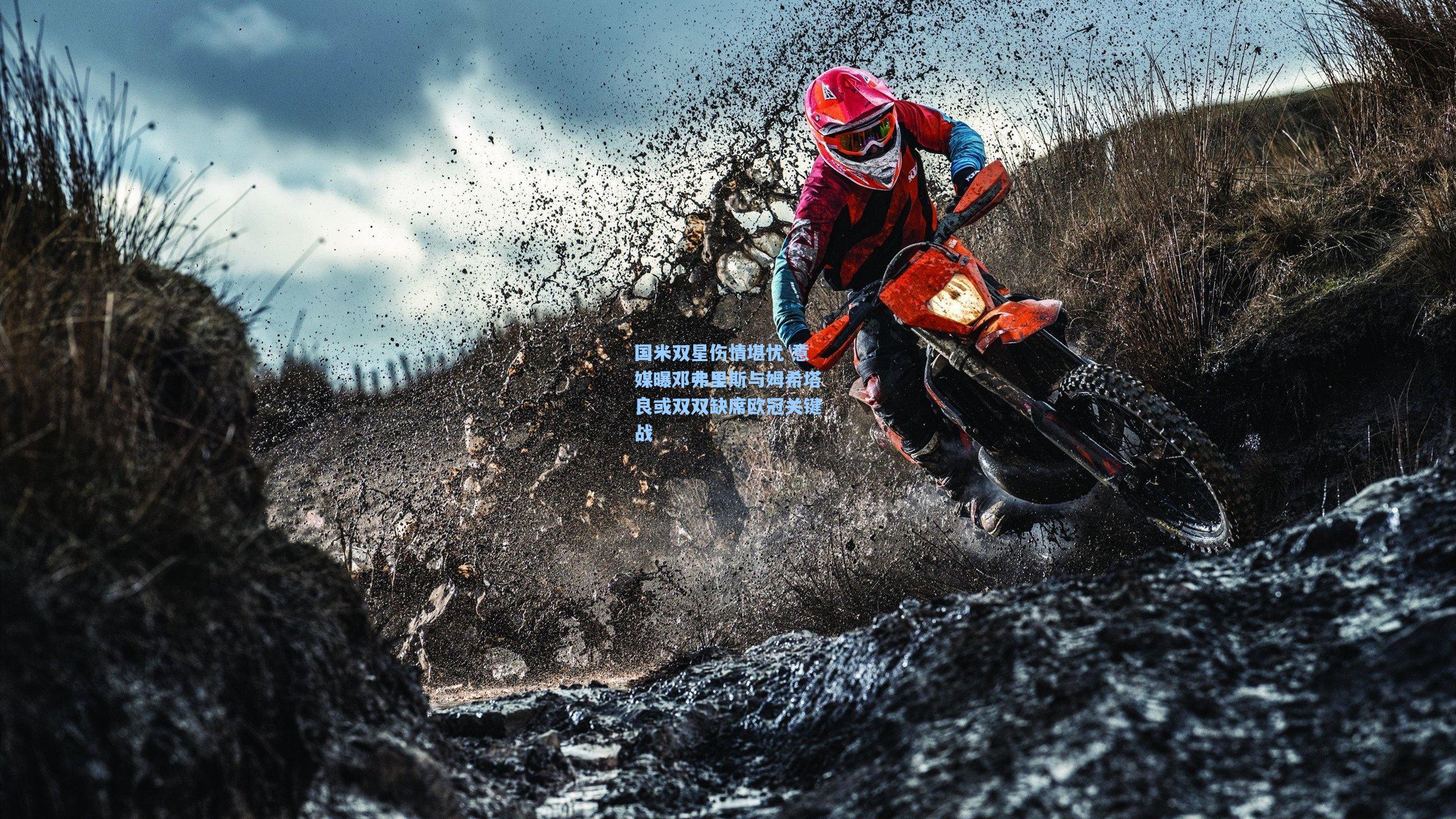 国米双星伤情堪忧 意媒曝邓弗里斯与姆希塔良或双双缺席欧冠关键战  第2张